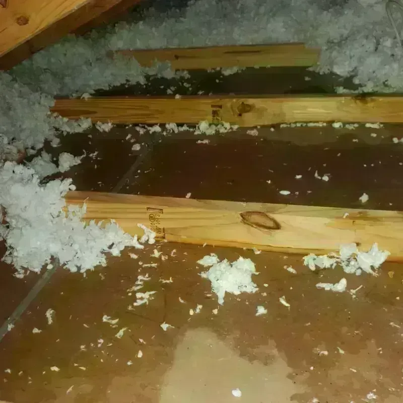 Attic Water Damage in Schulenburg, TX